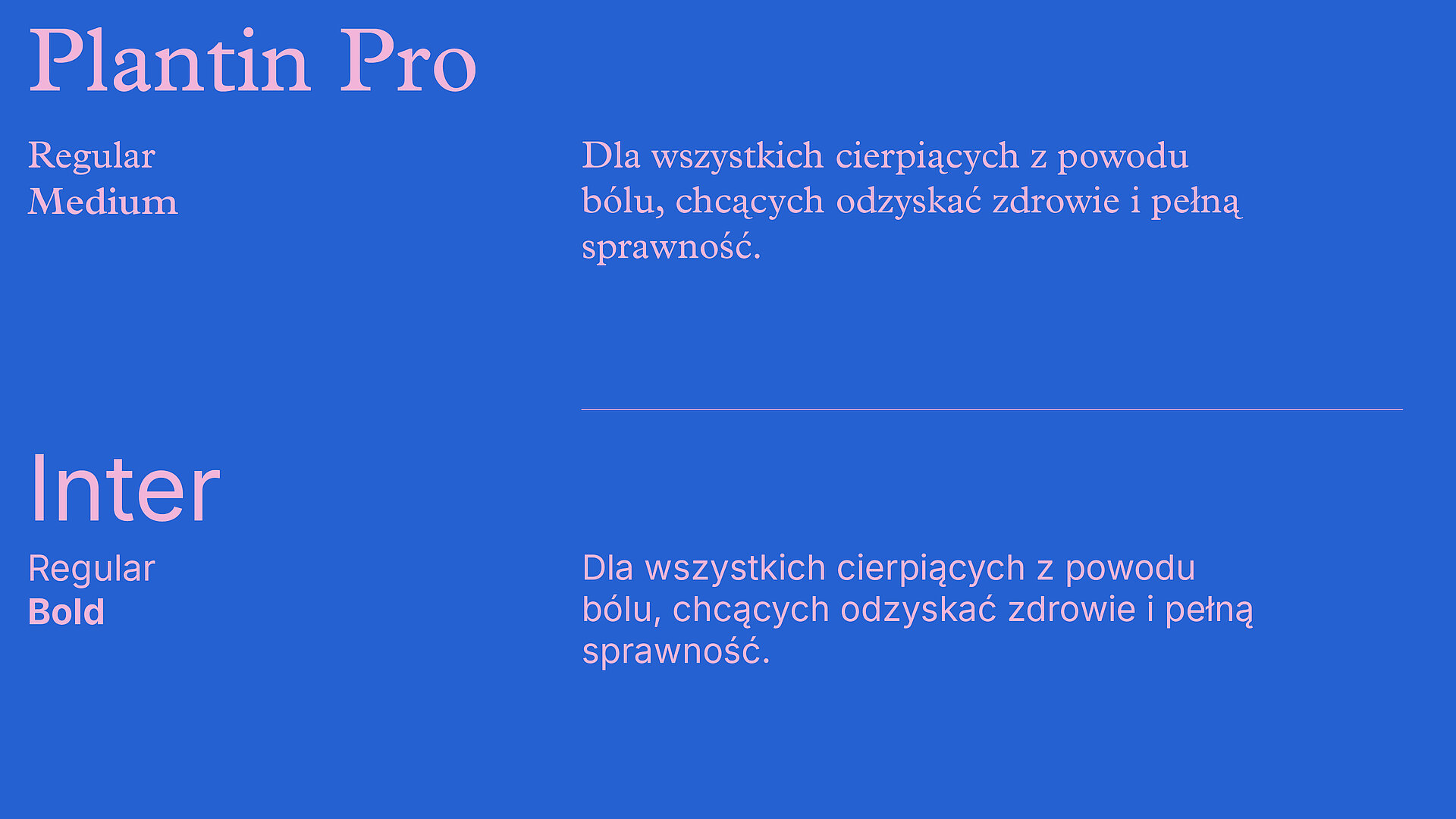 fonty-uzyte-w-projekcie-brandingu